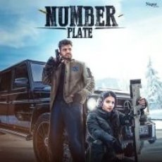 Number Plate Refixed Beretta Amanraj Gill, Jaya Rohilla